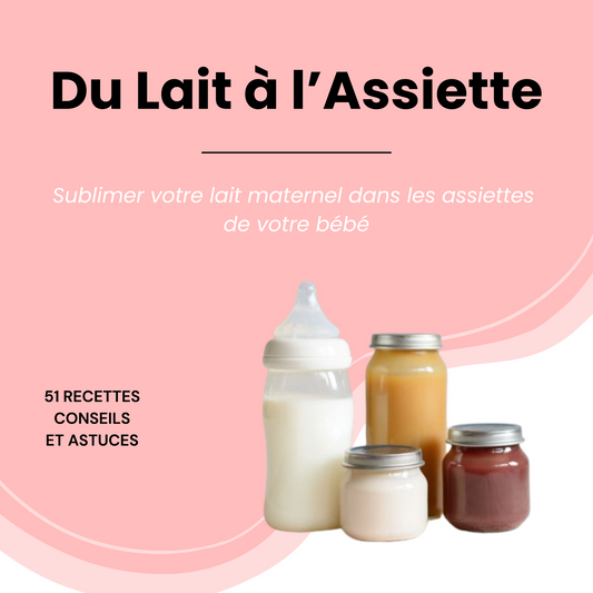 51 Recettes Saines à bases de lait maternel